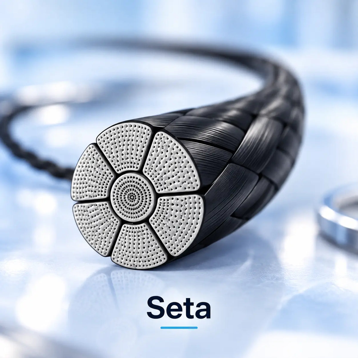 Seta